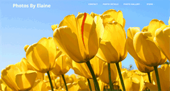 Desktop Screenshot of photosbyelaine.com